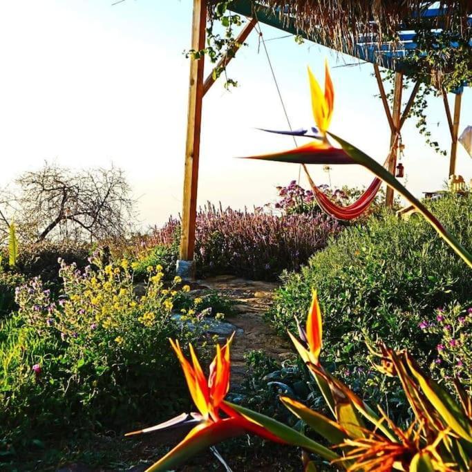 Casita En El Campo Con Vista Al Oceano Villa Tijarafe Exterior foto